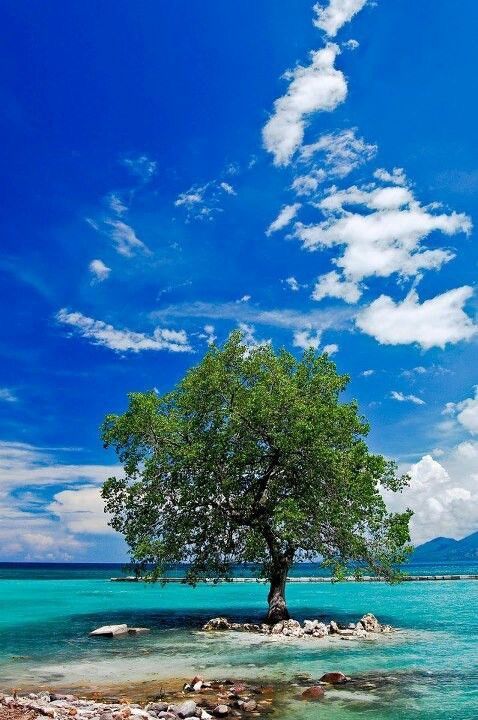 Pulau Guraici: Surga Bahari Tersembunyi di Halmahera Selatan